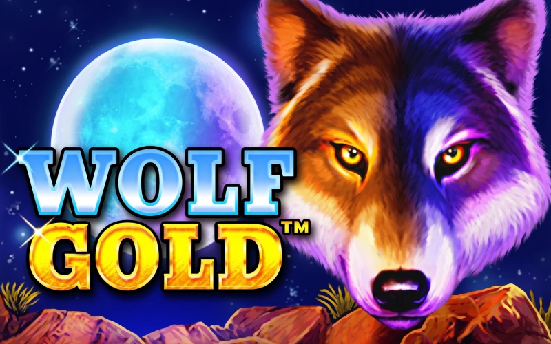 Chase the wild progressive jackpots at official SpinPin casino.